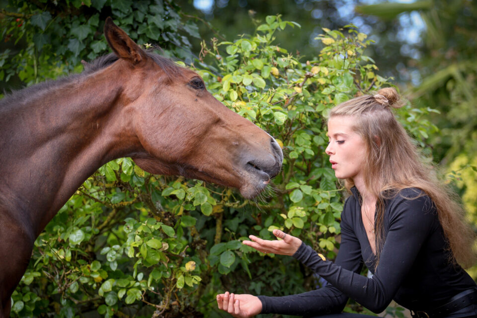 ff4ce91088a86645ce91088a8685cev-960x640