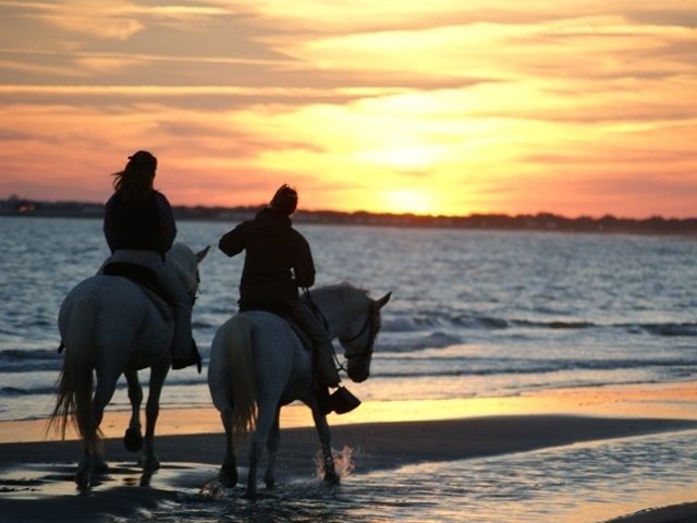 ImageRenderPhotoProduit